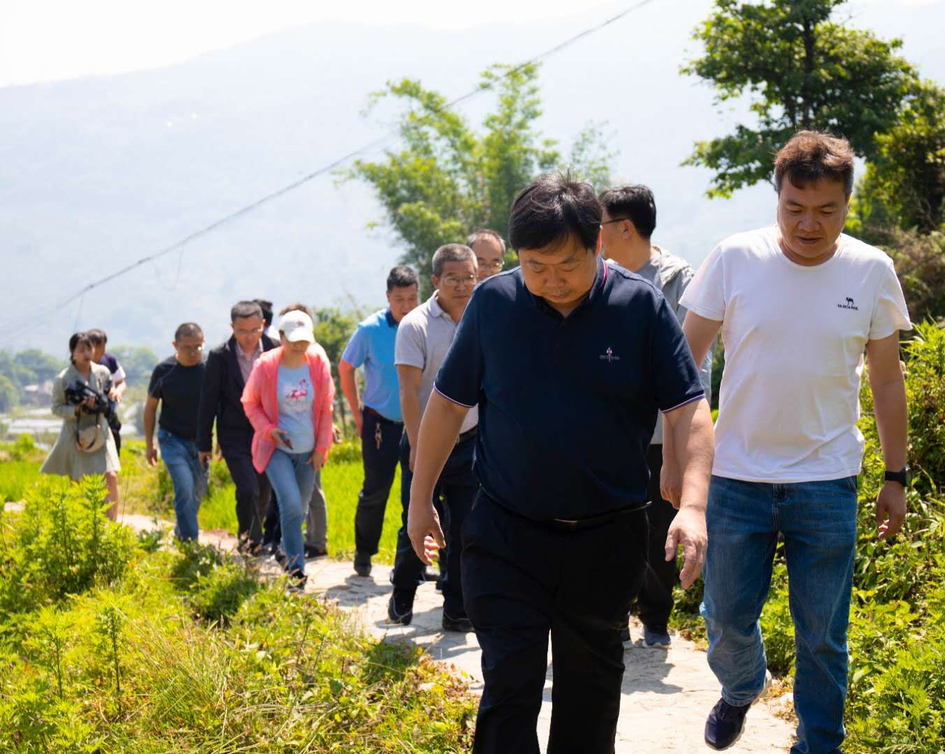 科技創新 | 呼山眾創黃草嶺示范基地開展水稻無人機直播試驗